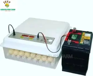 New Automatic Incubator Machine Available  