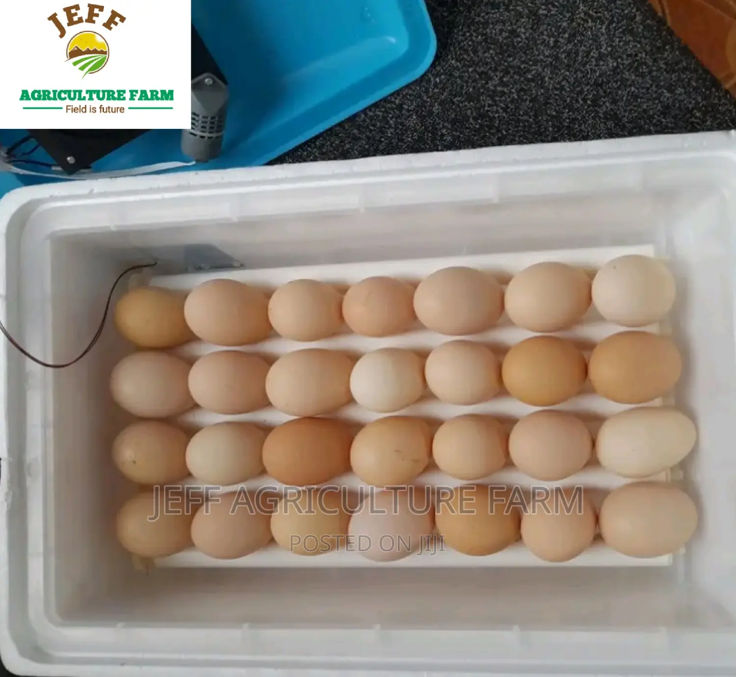 New Automatic Incubator Machine Available  