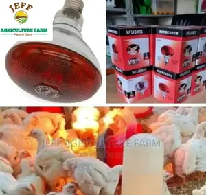 Infrared Heat Lamp Now Available