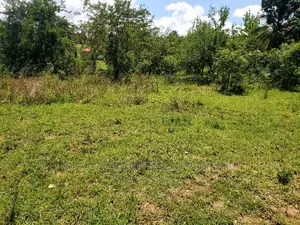 Plot Inauzwa Goba Kulangwa