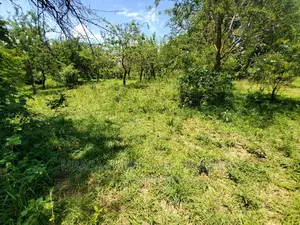 Plot Inauzwa Goba Kulangwa