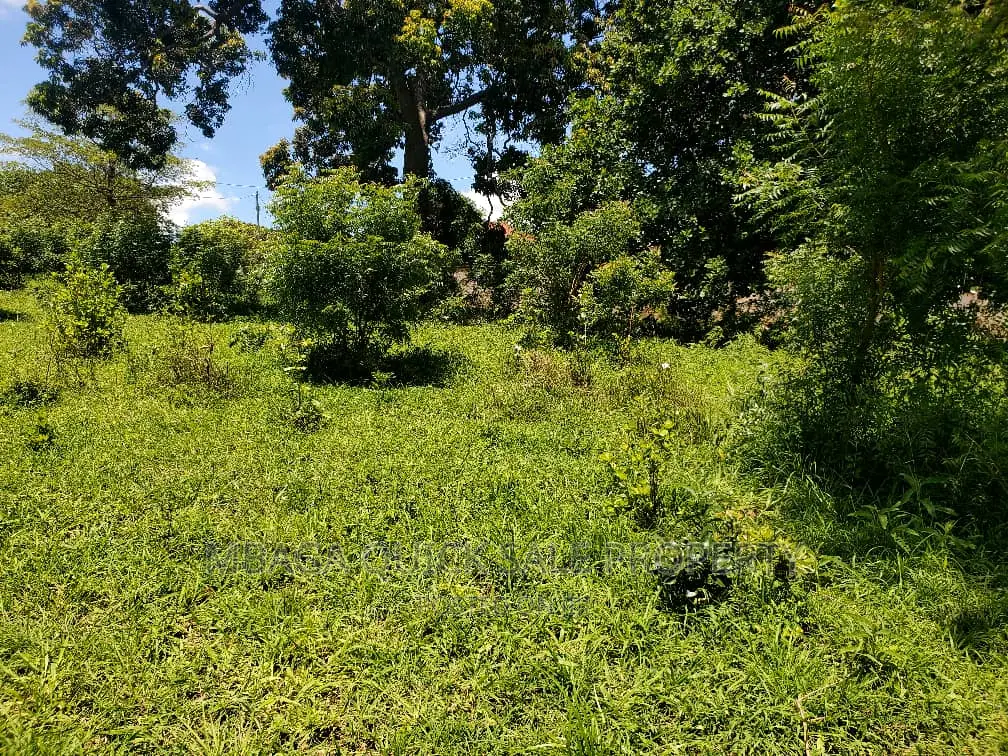 Plot Inauzwa Goba Kulangwa
