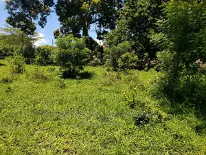 Plot Inauzwa Goba Kulangwa