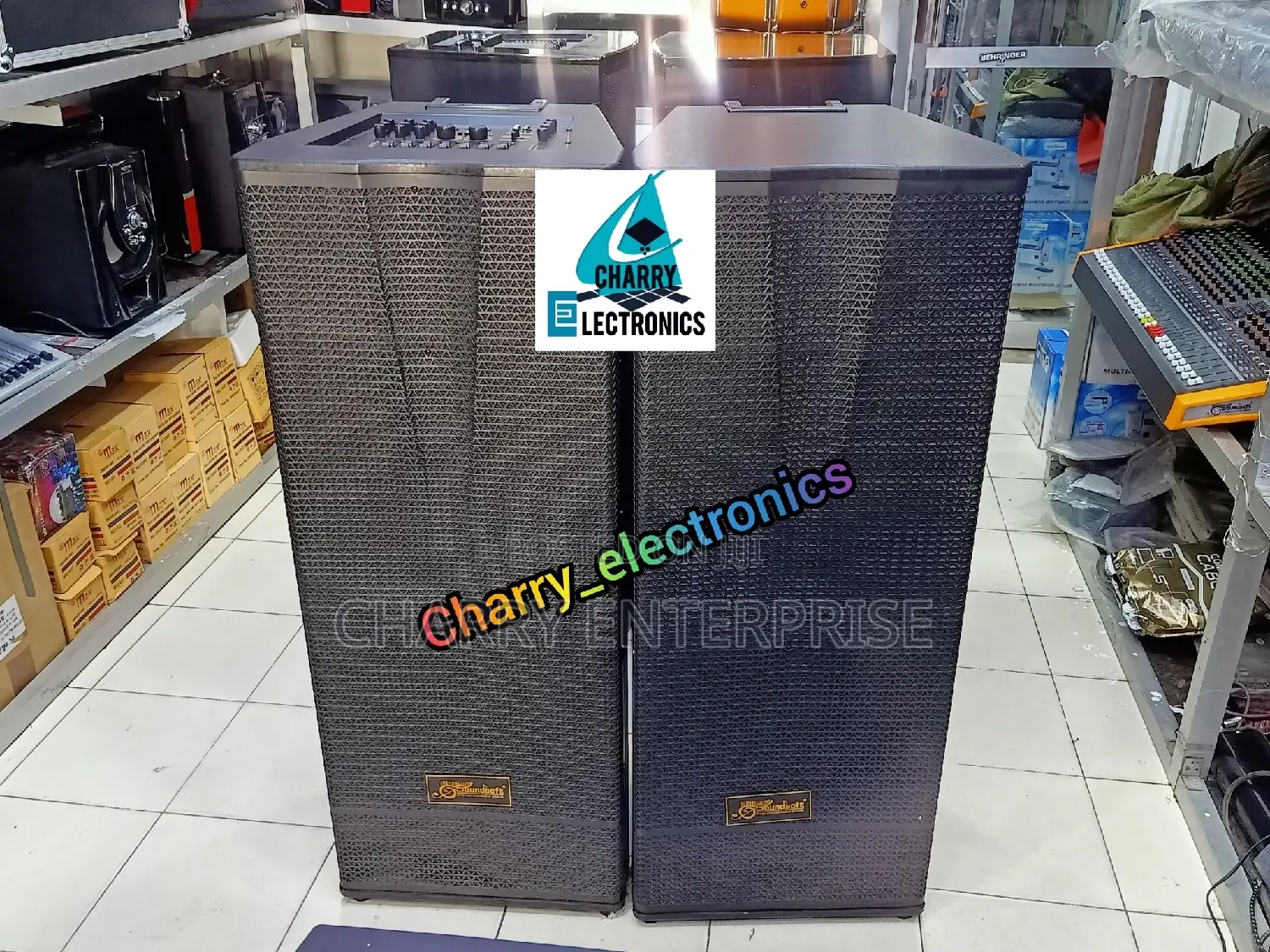 Soundsoft Powerful Speakers With Equalizer 2mic900w 15"