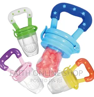 Baby Fruit Feeder Pacifier