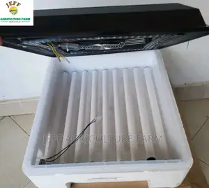Hot Incubator Machine 60 Eggs