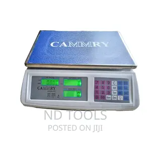 Price Computing Scale
