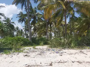 Beach Plotes for Sale Mkwaja Tanga