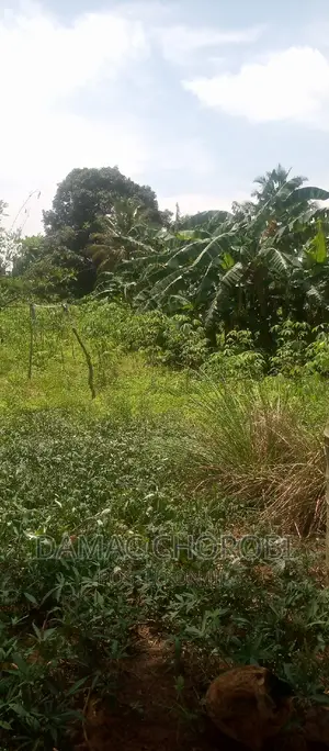 Kiwanja Kinauzwa Miswe -Mlandizi