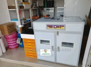 538eggs Automatic Incubator