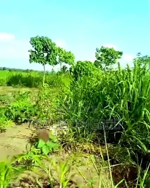 Mkuranga Industrial Area: 5.4 Acres Land for Sale - Pwani