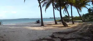 Beach Plot With 6 Acres at Kigambonj