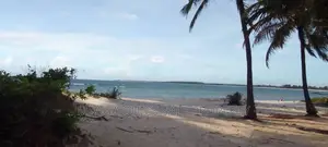 Beach Plot With 6 Acres at Kigambonj