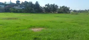 Beach Plot With 6 Acres at Kigambonj
