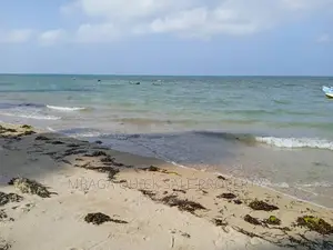 Beach Plot for Sale at Mtwara