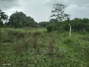 Three Acres for Sale Kiromo