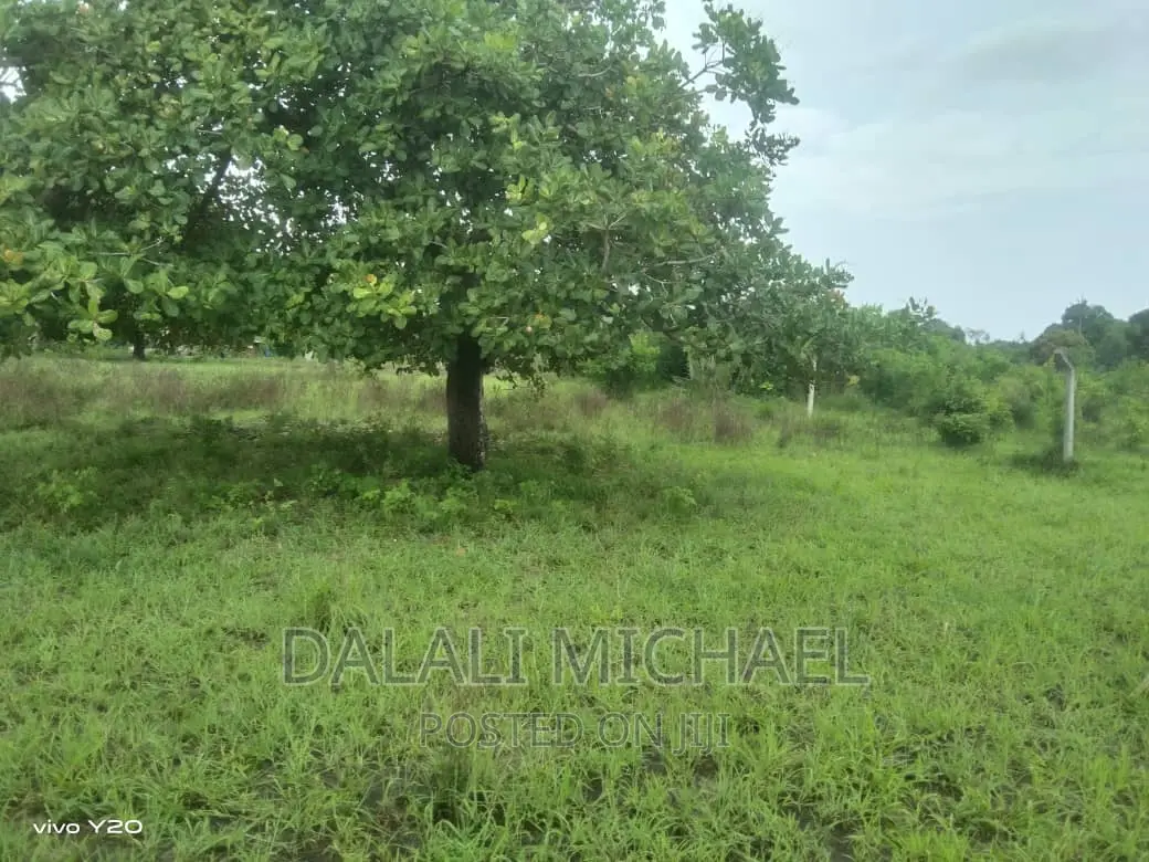 Three Acres for Sale Kiromo