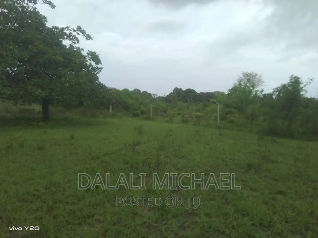 Three Acres for Sale Kiromo