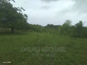 Three Acres for Sale Kiromo
