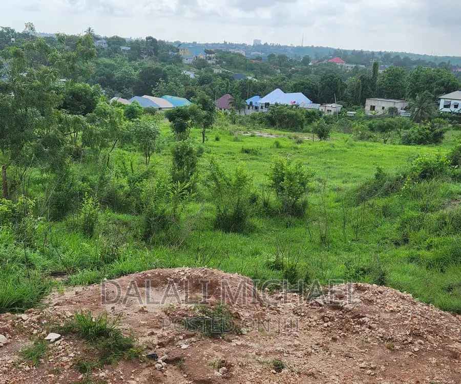 Viwanja Vinauzwa Goba
