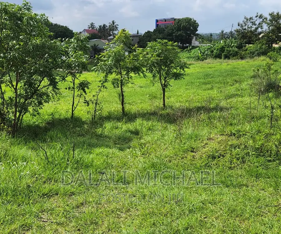 Viwanja Vinauzwa Goba