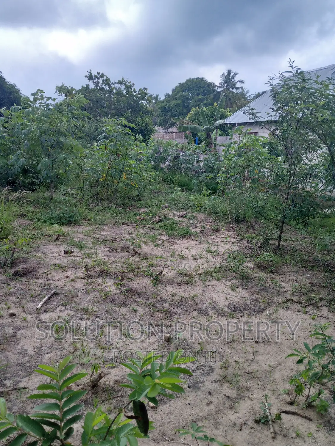 Plot for Sale at Kigamboni Mwapemba