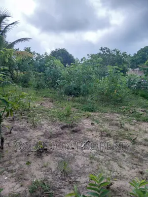 Plot for Sale at Kigamboni Mwapemba