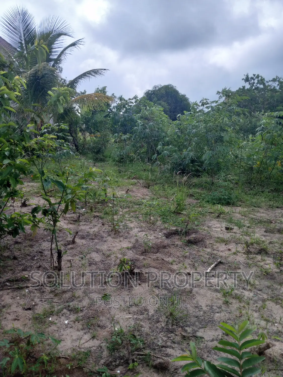 Plot for Sale at Kigamboni Mwapemba