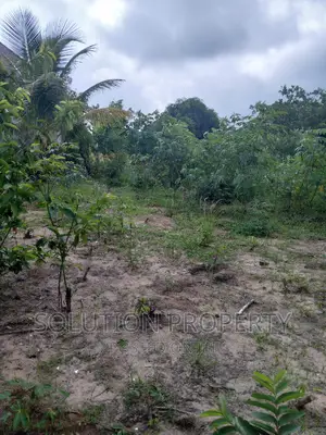 Plot for Sale at Kigamboni Mwapemba