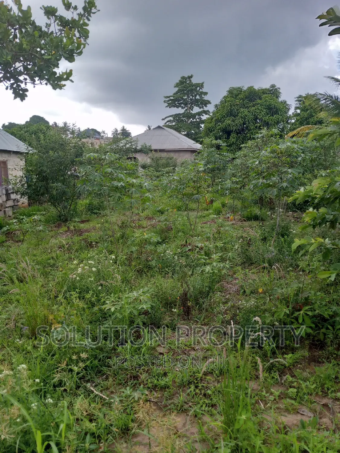 Plot for Sale at Kigamboni Mwapemba