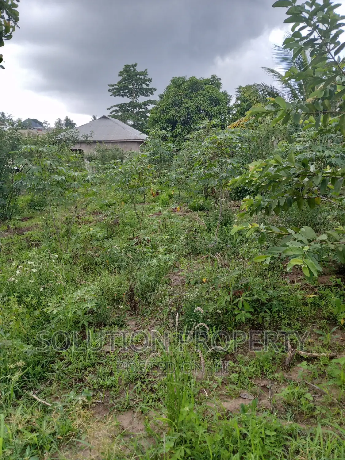 Plot for Sale at Kigamboni Mwapemba