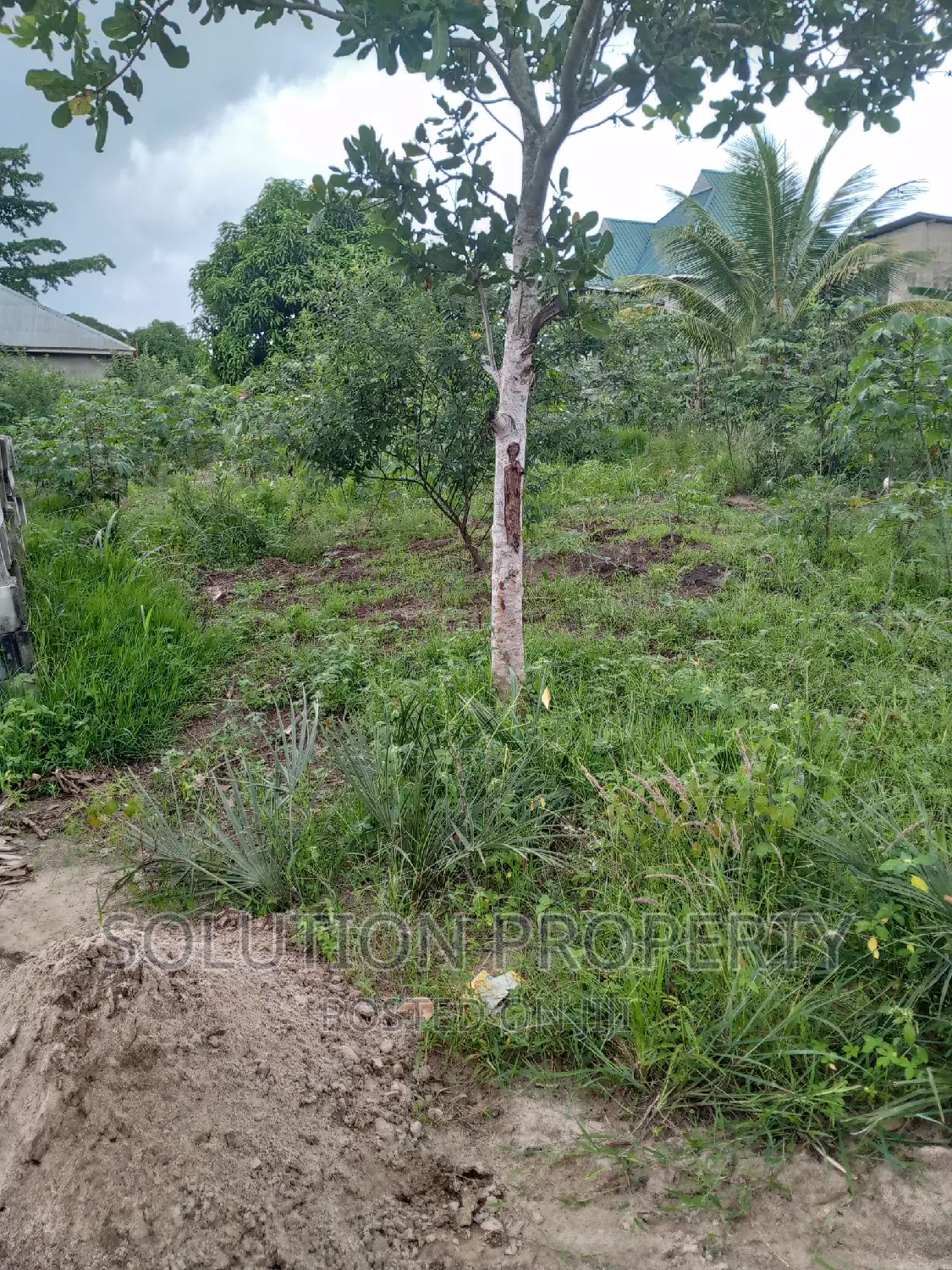 Plot for Sale at Kigamboni Mwapemba