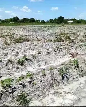 Mkuranga: Ardhi Ekari 5 Inauzwa - Pwani