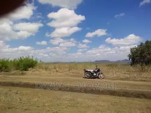 Acre 30 Zinauzwa Kiwangwa -Bago