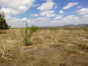 Acre 30 Zinauzwa Kiwangwa -Bago