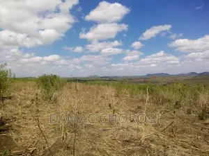 Acre 30 Zinauzwa Kiwangwa -Bago