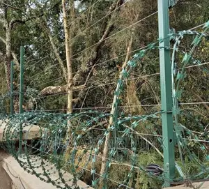 Razor Wire (Small Wave 5.5mtr)-Diameter 50cm GREEN Powder