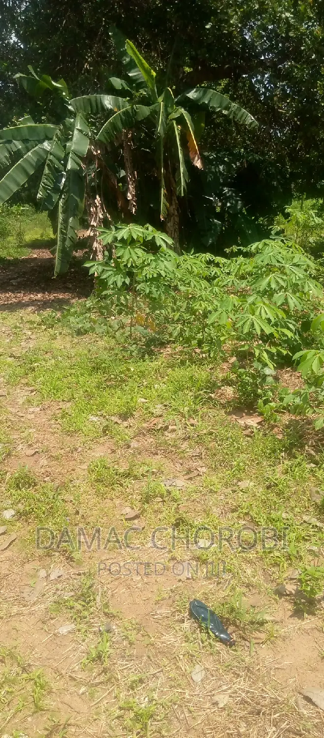 Shamba Hili Linauzwa Mbwewe Acre 20