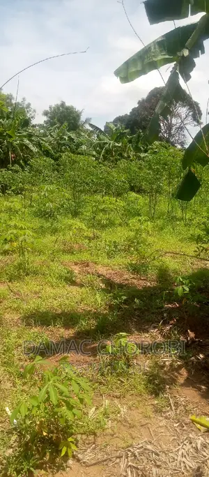 Shamba Hili Linauzwa Mbwewe Acre 20