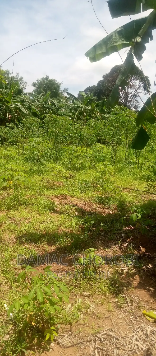 Shamba Hili Linauzwa Mbwewe Acre 20