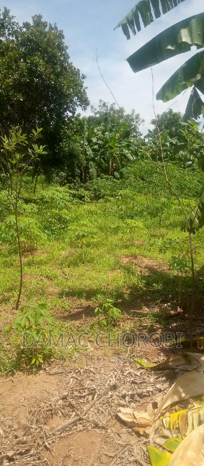 Shamba Hili Linauzwa Mbwewe Acre 20