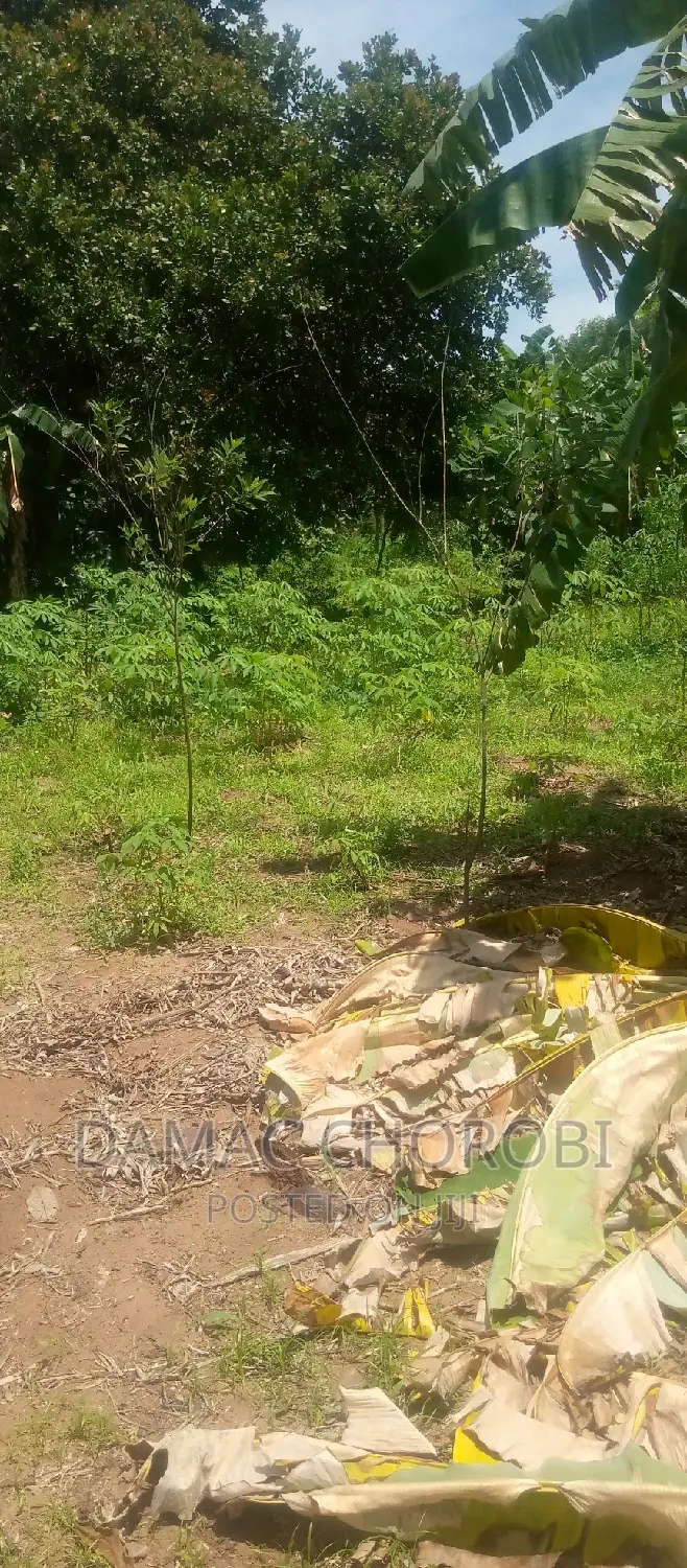 Shamba Hili Linauzwa Mbwewe Acre 20