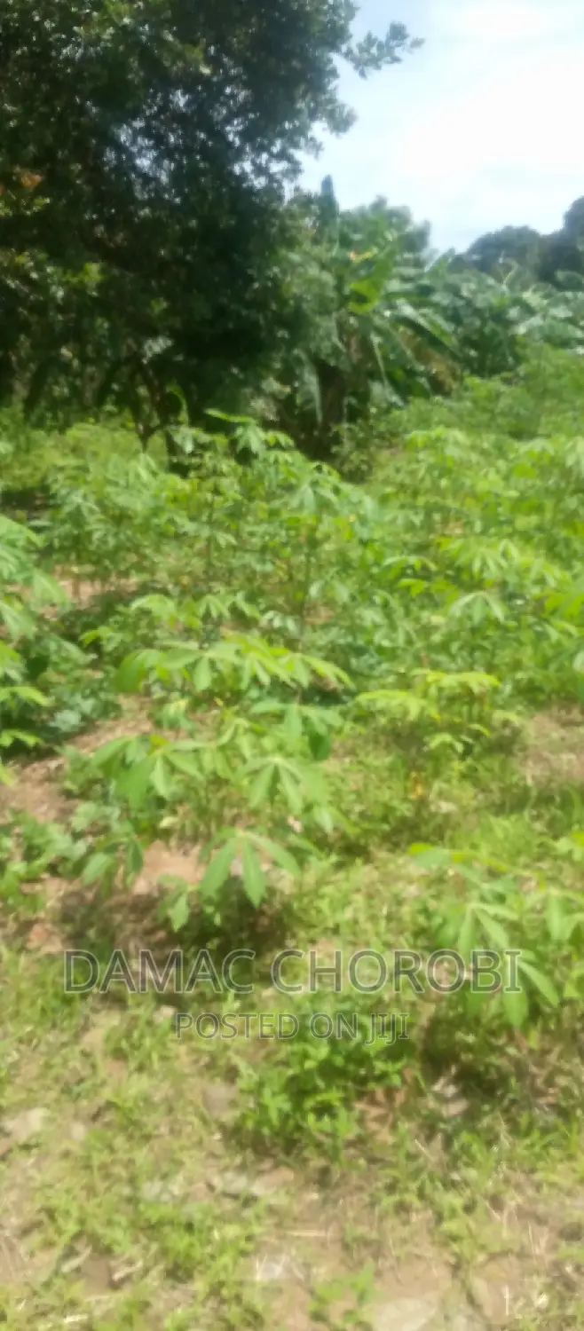 Shamba Hili Linauzwa Mbwewe Acre 20