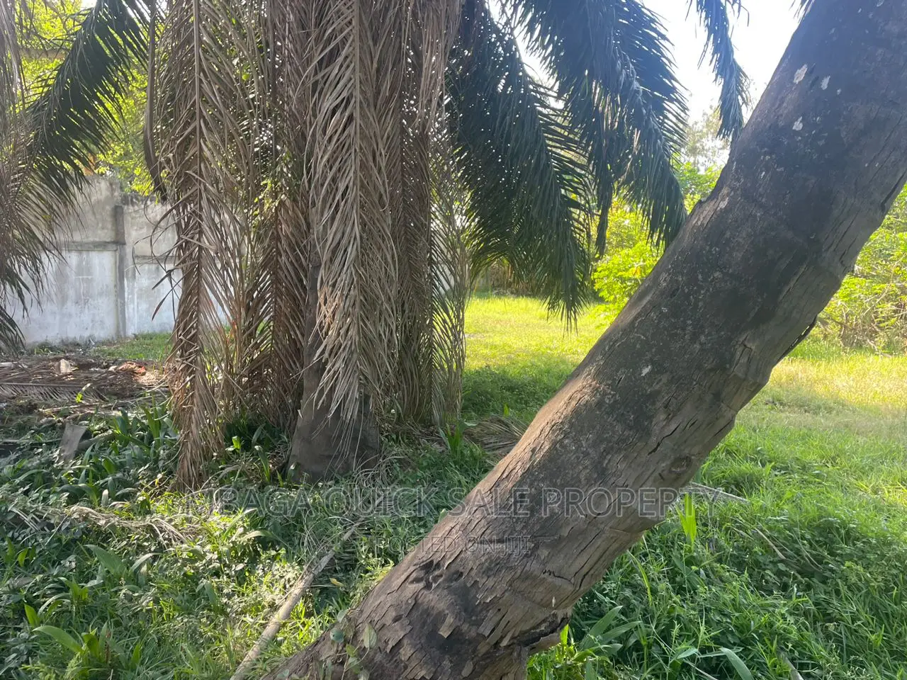 Plot for Sale at Moroko Uporonto