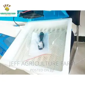 Small Incubator Machine Mayai 30