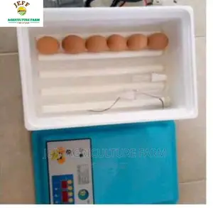 Small Incubator Machine Mayai 30