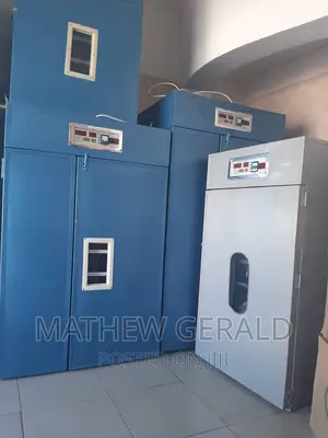 Eggs Incubators