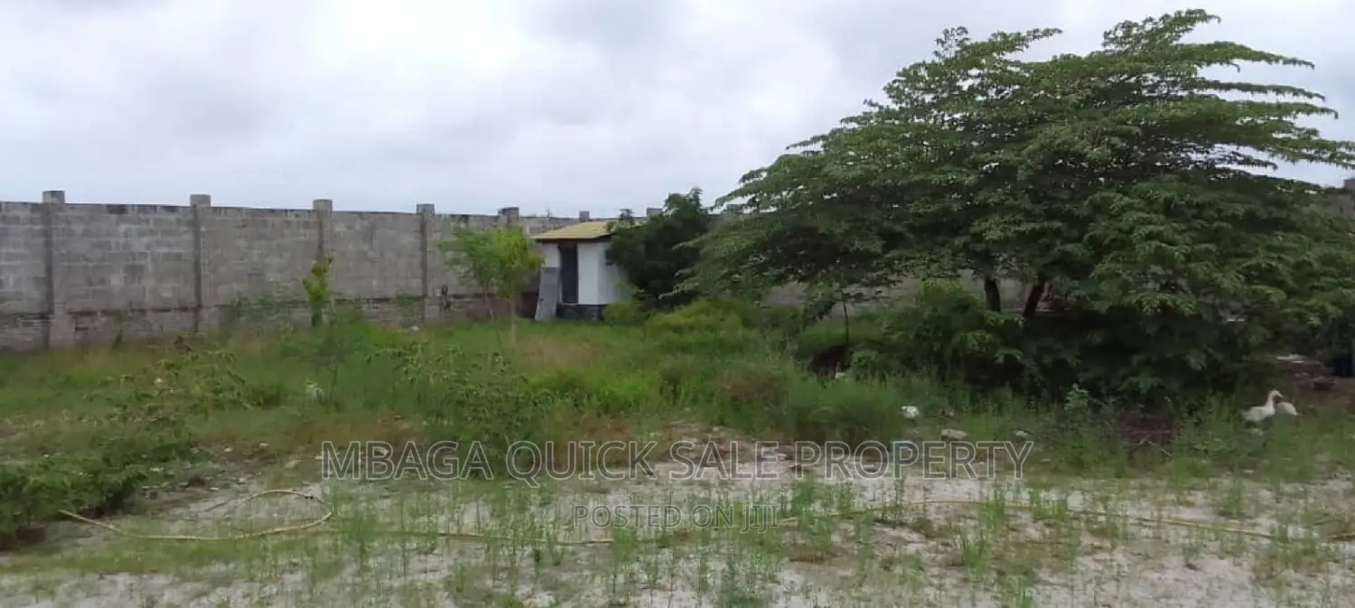 Go Down for Rent at Kigamboni and With House