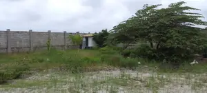 Go Down for Rent at Kigamboni and With House