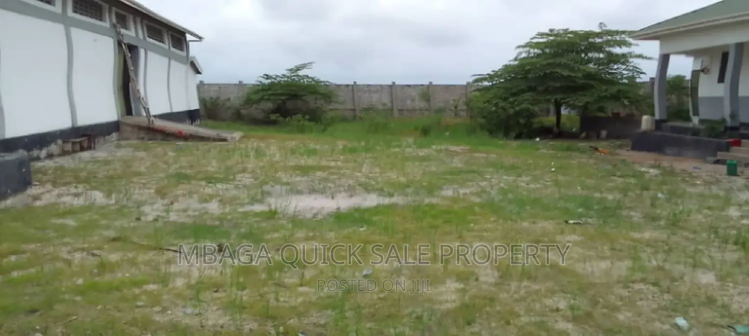 Go Down for Rent at Kigamboni and With House